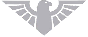 falconcase.it logo